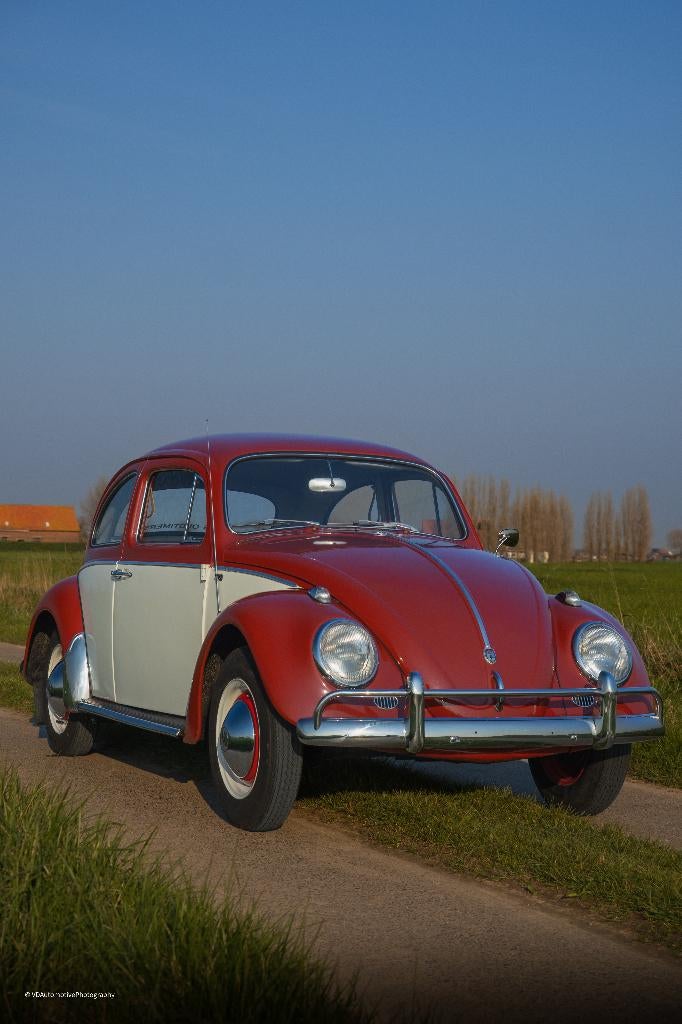 Vw kever 1200 bwj 1962 perfecte staat, gekeurd + garantie, Auto's, Volkswagen, 4 zetels, Beetle (Kever), 4 cilinders, Handgeschakeld