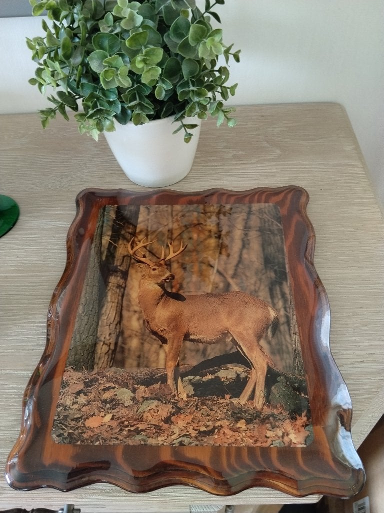 vintage houten wanddecoratie, Maison & Meubles, Accessoires pour la Maison | Décorations murale, Vintage, Enlèvement ou Envoi