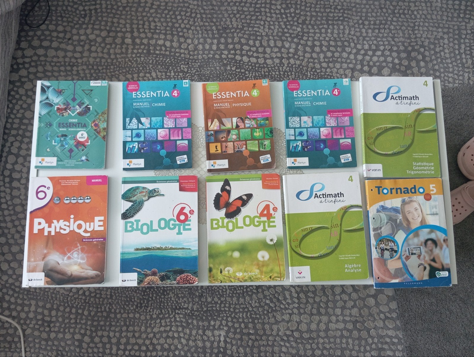 Lot de 10 manuels scolaires de niveaux 4e et 6e secondaire, Enlèvement ou Envoi, Comme neuf, Secondaire, Autres matières