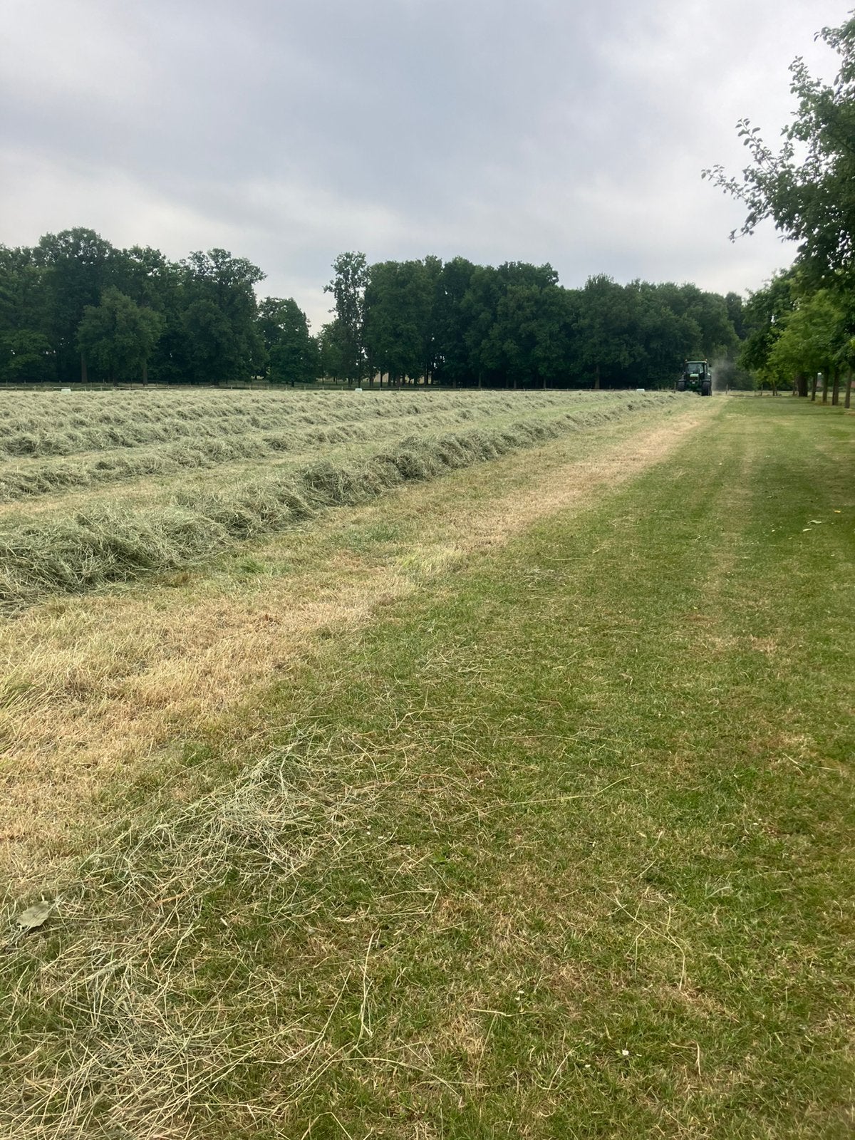 Midibalen voordroog, Dieren en Toebehoren, Stalling en Weidegang