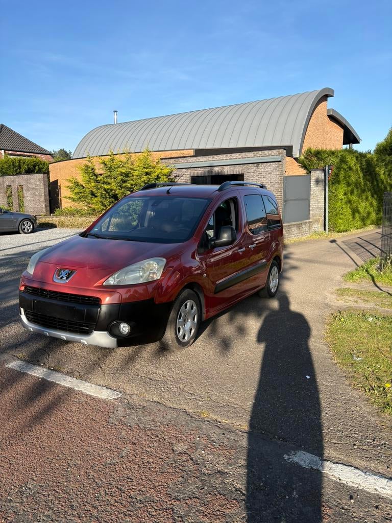 Tipi Peugeot Partner, Achat, Entreprise, Euro 4, Essence