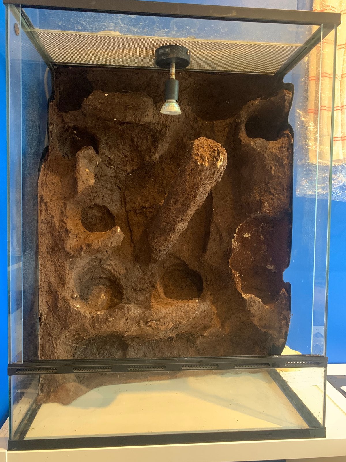 Terrariums + decoratie (reptielen: gekko, slang, baardagaam), Enlèvement, Comme neuf