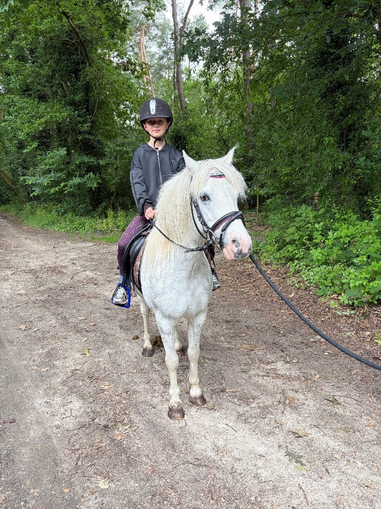 Leuke welsh pony, Dieren en Toebehoren, Pony's, Merrie, Niet van toepassing, B pony (1.17m tot 1.27m), 7 tot 10 jaar, Met stamboom