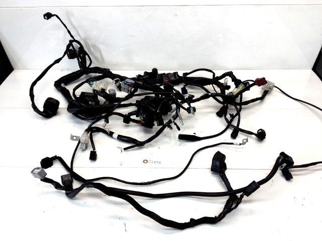 CBR650R 2019 - 2020 Honda Kabelboom Kabelboom hoofd D1-57565