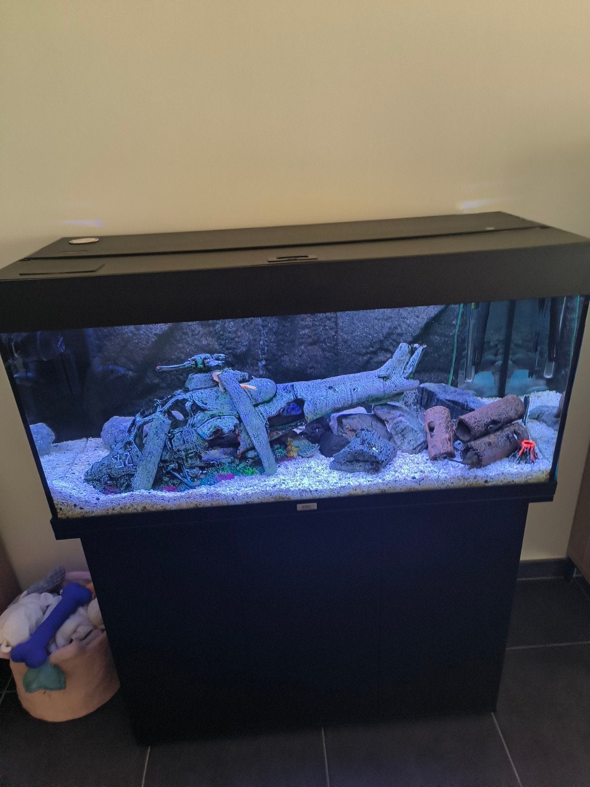 Aquarium juwel Rio 180, Animaux & Accessoires, Poissons | Aquariums & Accessoires, Filter, Juwel, Enlèvement