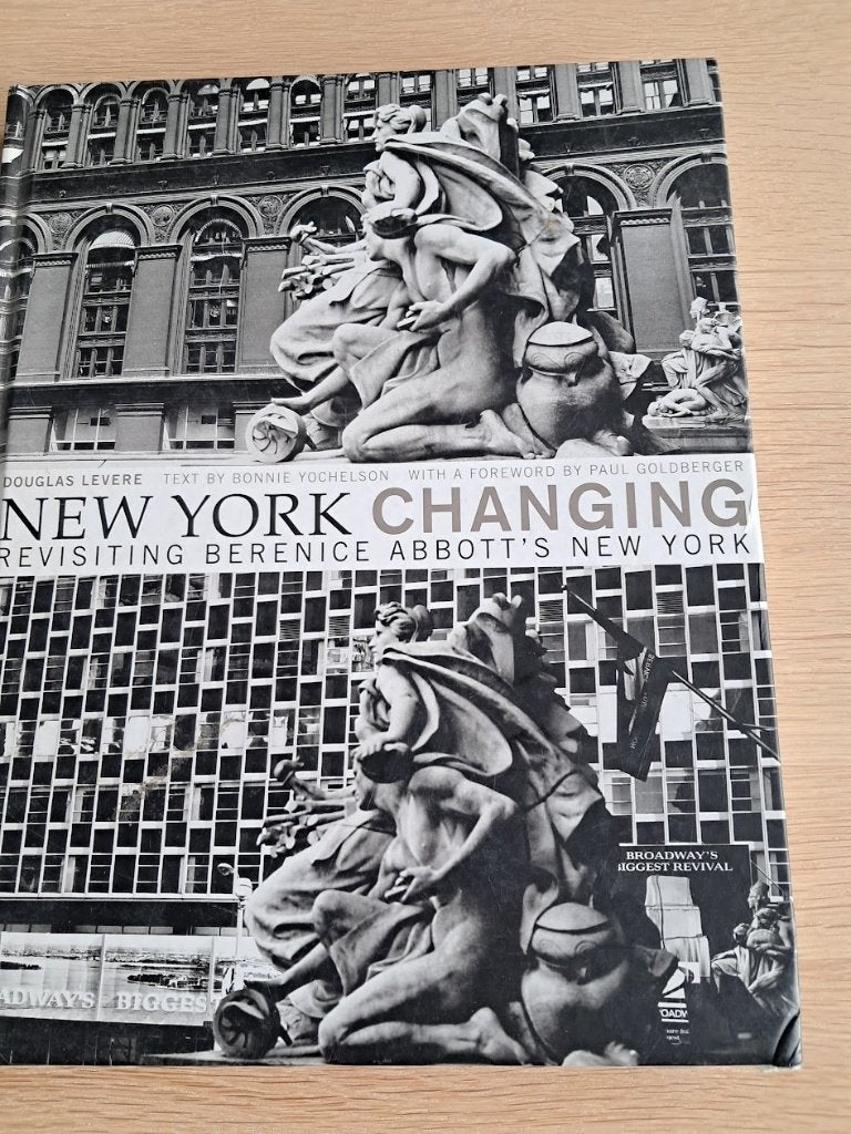 New York in verandering boek, Fotografen, Ophalen of Verzenden, Zo goed als nieuw, Douglas Levere