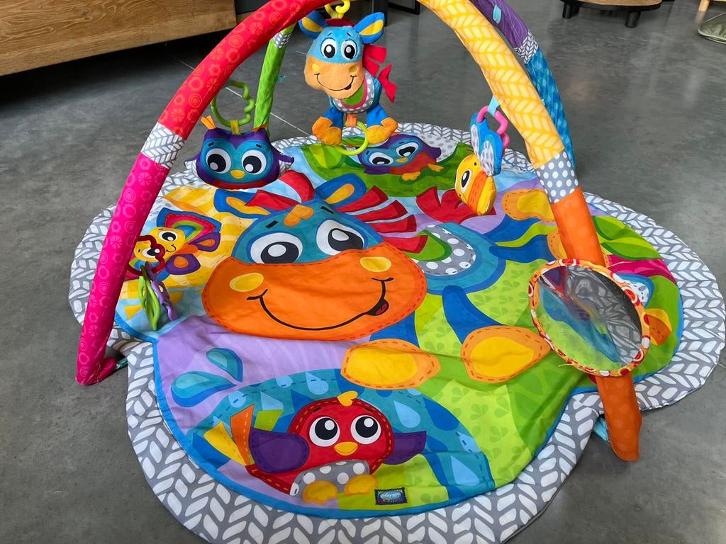 Playgro speelmat baby, Ophalen, Gebruikt