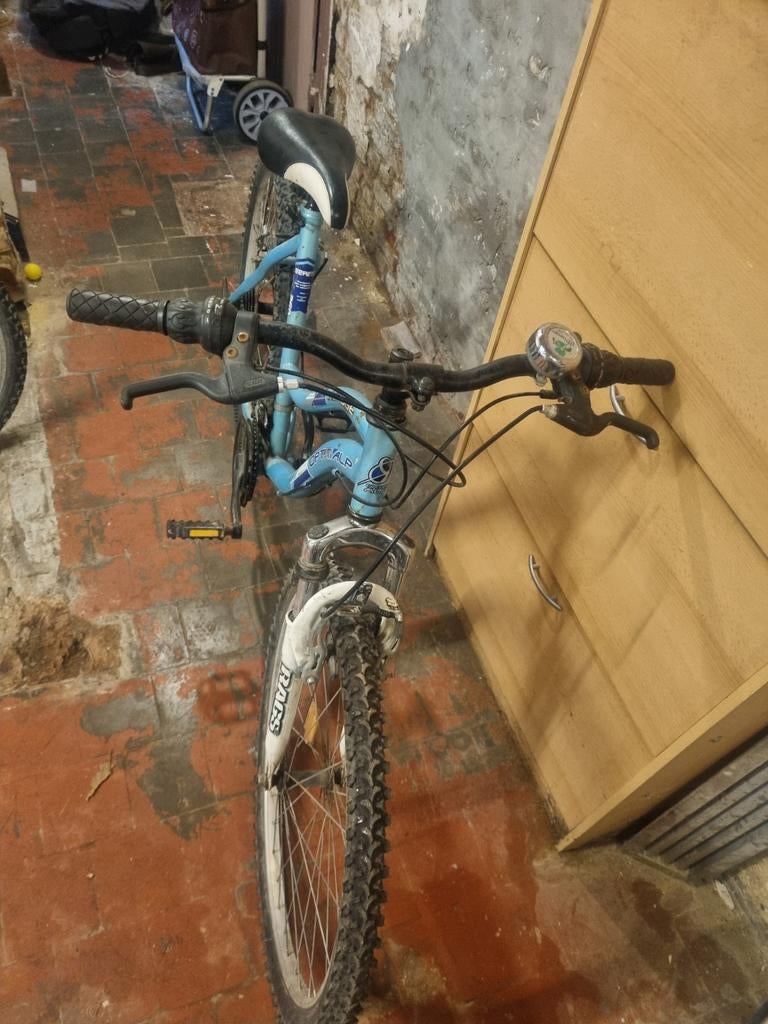 Vélo pour adultes 26 pouces, Ophalen