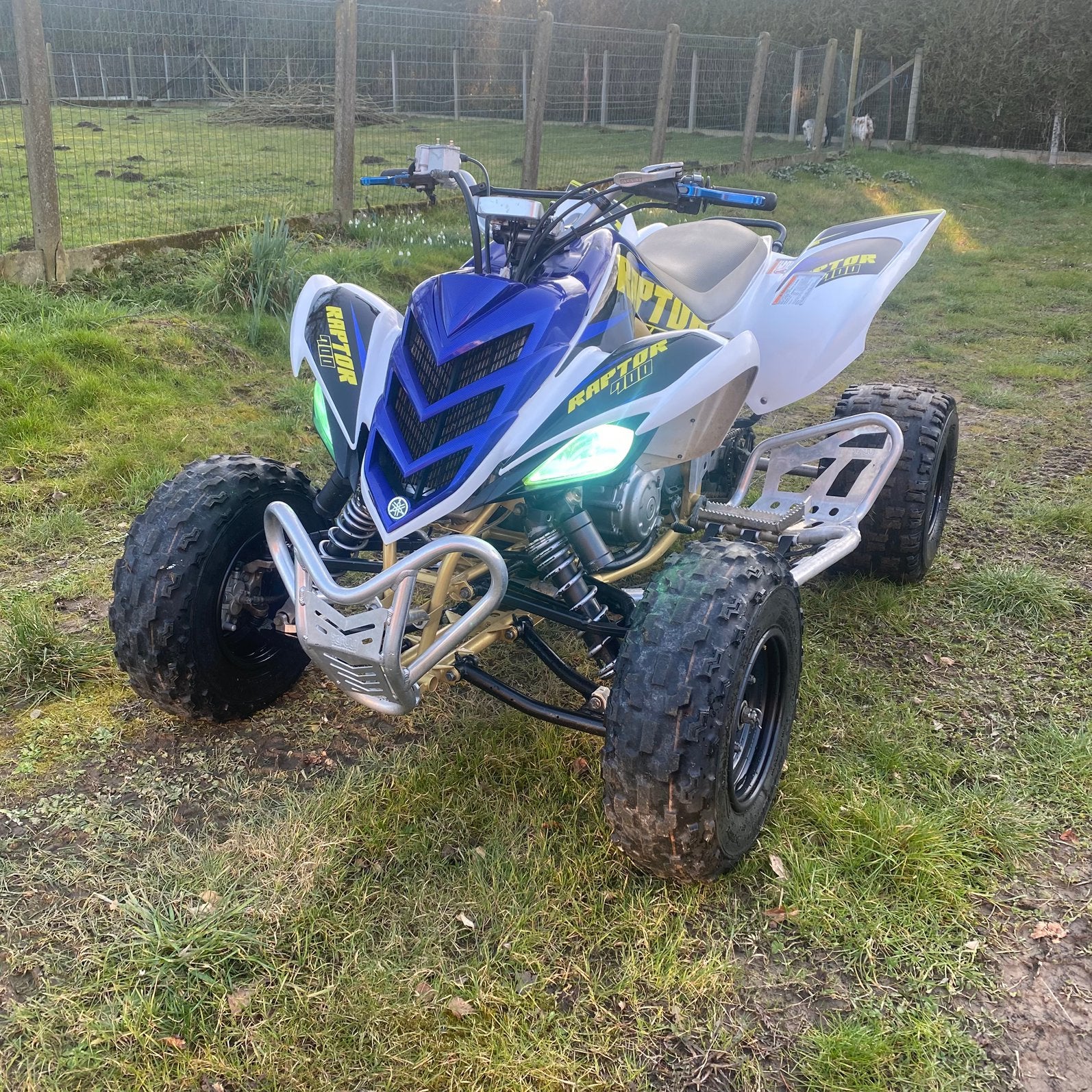 Yamaha Raptor 700, Motoren, 700 cc