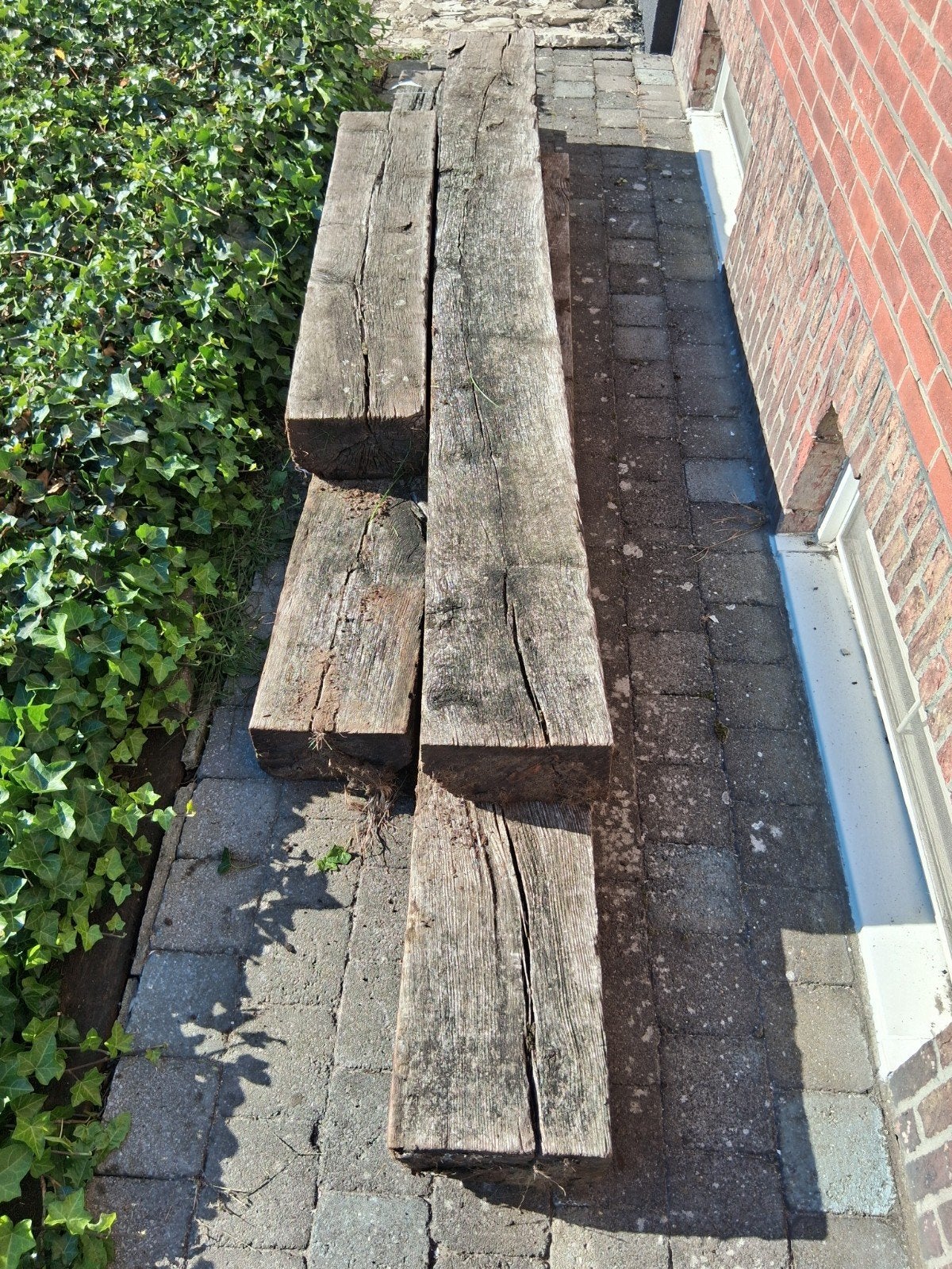 treinbielzen, Tuin en Terras, Ophalen, Biels