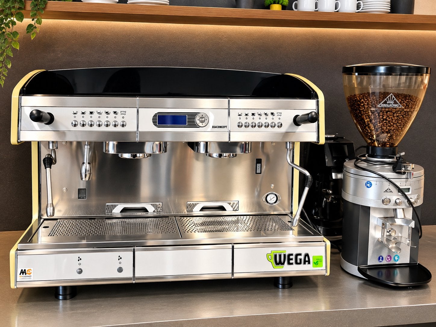 Machine a café wega + 2 moulin professionnel !, Articles professionnels, Enlèvement