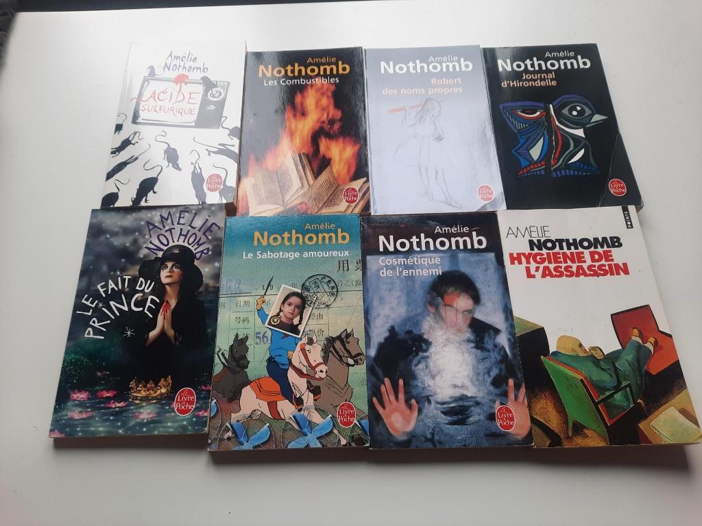 Livres de poche Amélie Nothomb, Livres, Enlèvement ou Envoi, Utilisé
