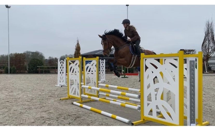 Zadelmak Maken/ Trainen (jonge) paarden/ Wedstrijden, Ophalen, Nieuw