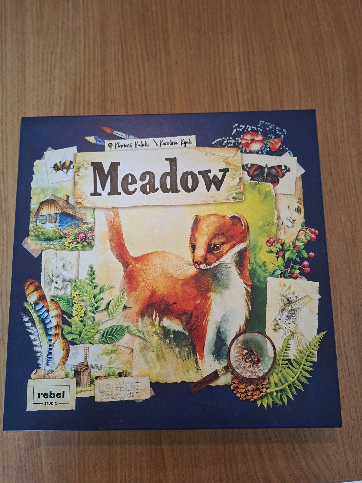 Meadow, Drie of vier spelers, Ophalen of Verzenden, Zo goed als nieuw, Rebel studio