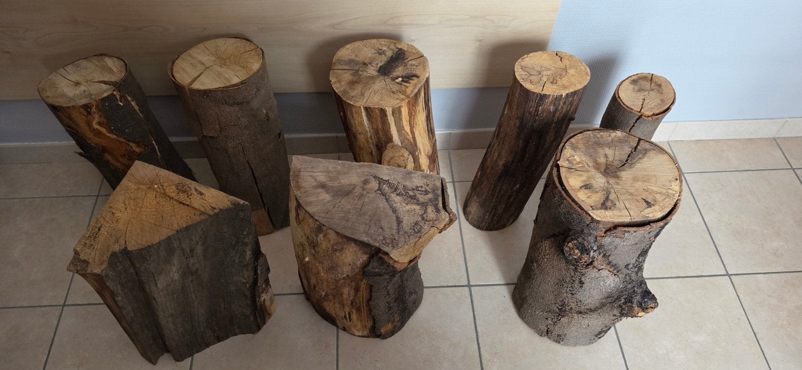 troncs décoratifs, Enlèvement, Utilisé, Bois