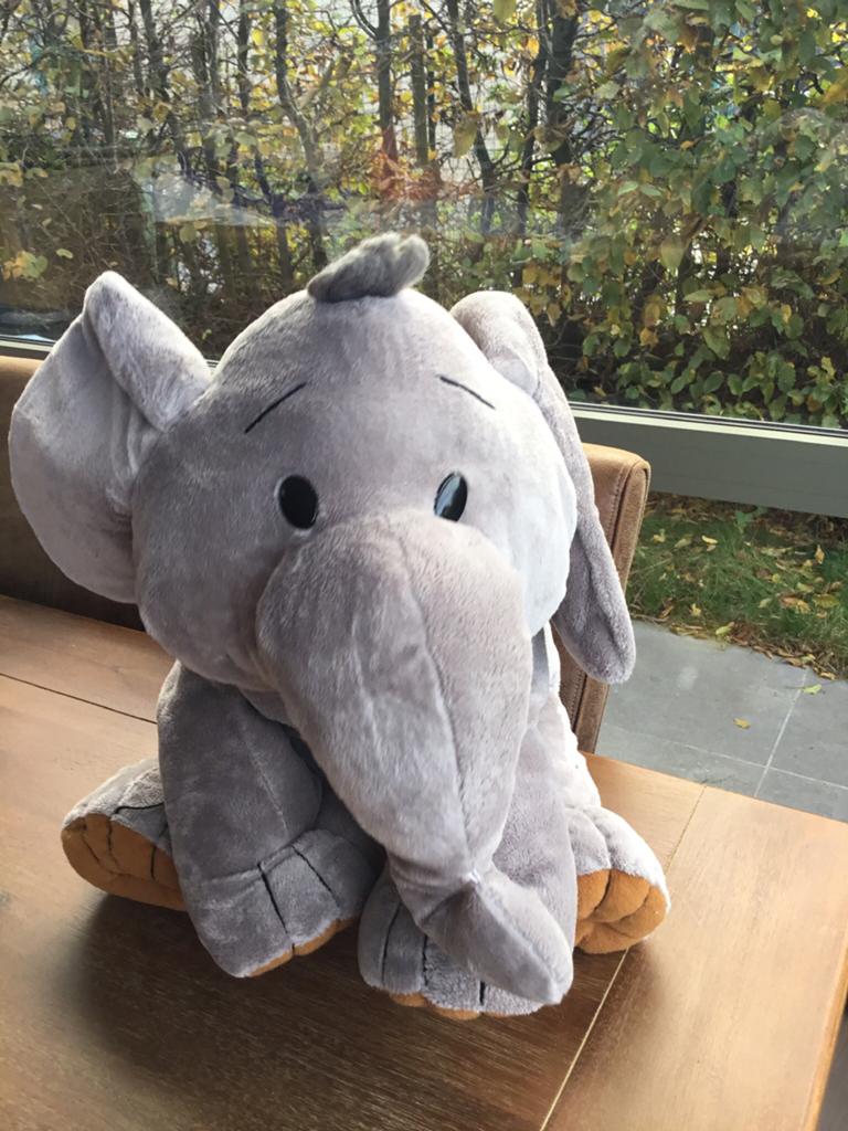 Grote knuffel olifant, Ophalen of Verzenden, Zo goed als nieuw, Olifant