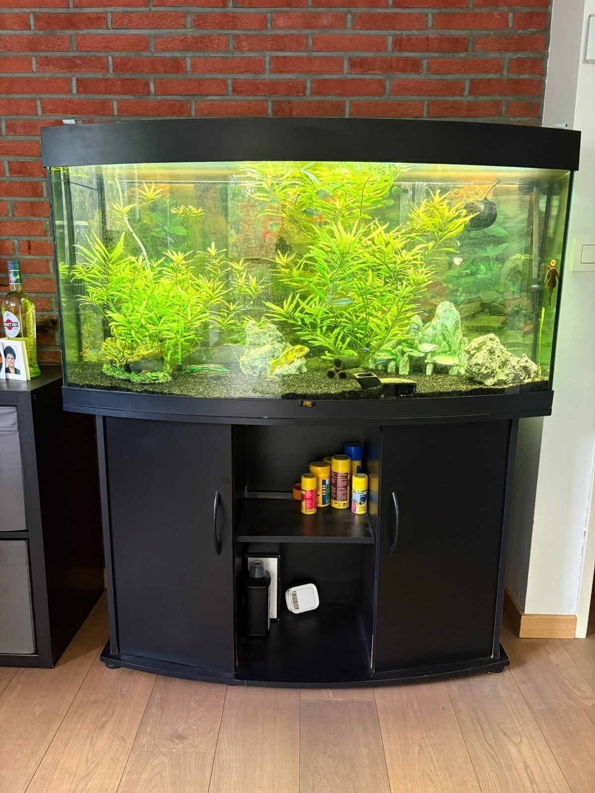 aquarium met vissen, Ophalen, Gebruikt, Gevuld zoetwateraquarium, Juwel