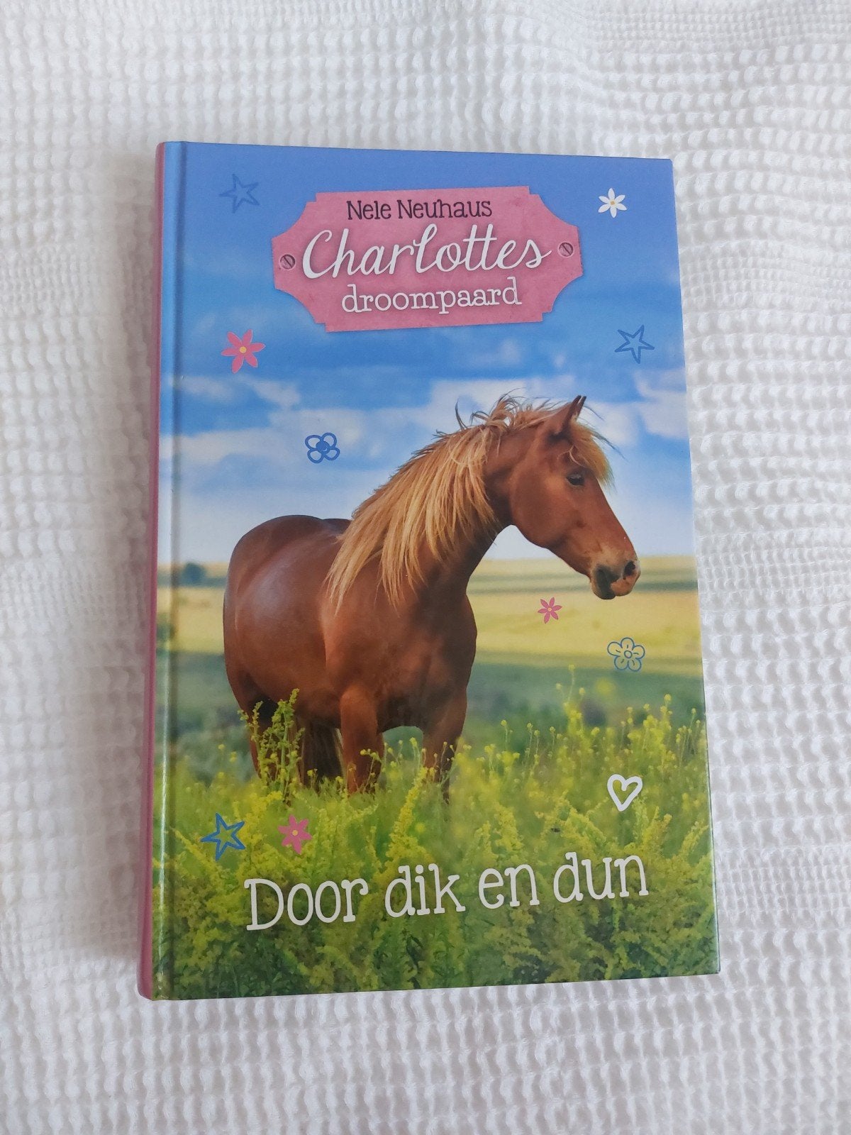 Nele Neuhaus - Door dik en dun, Enlèvement, Nele Neuhaus