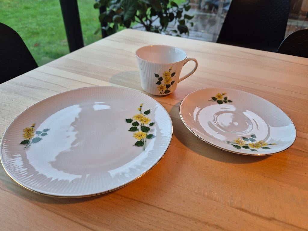 koffieservies Bavaria Winterling, Ophalen