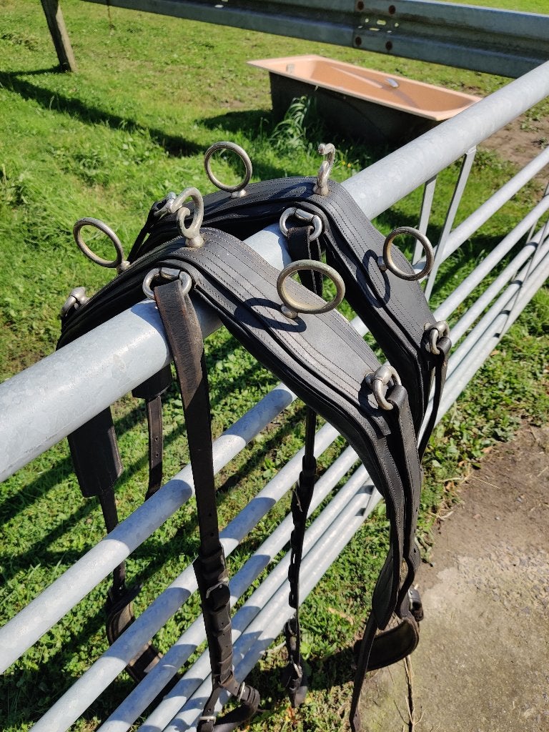 2span borst tuigen, Dieren en Toebehoren, Ophalen, Gebruikt, Recreatie, Zwart