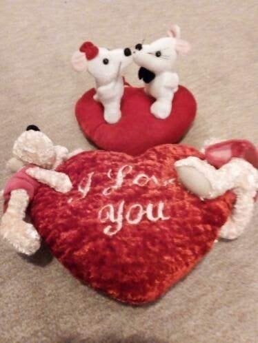 Beaucoup de câlins, Enfants & Bébés, Jouets | Peluches, Enlèvement ou Envoi, Comme neuf, Autres types