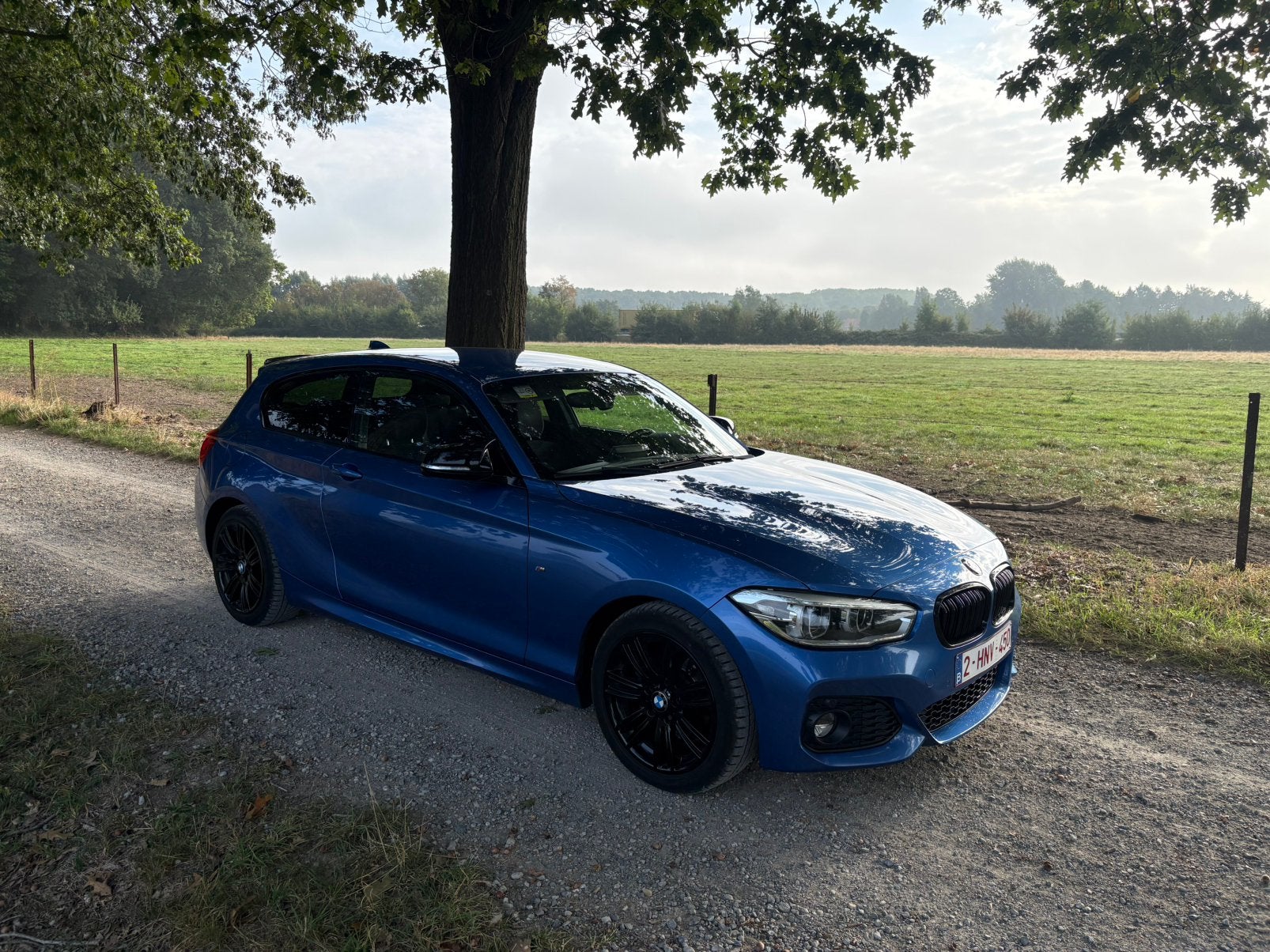 Bmw 118i, Achat, Boîte manuelle, Alcantara, 2 portes