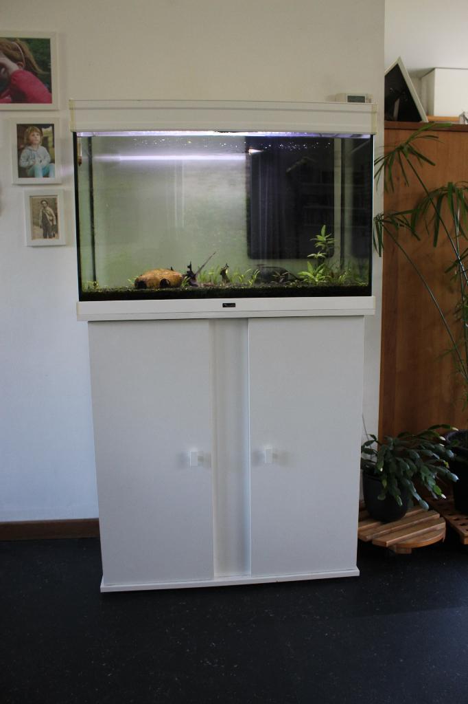 aquarium avec meubles, Aquatlantis, Aquarium d'eau douce rempli, Chauffage, Enlèvement