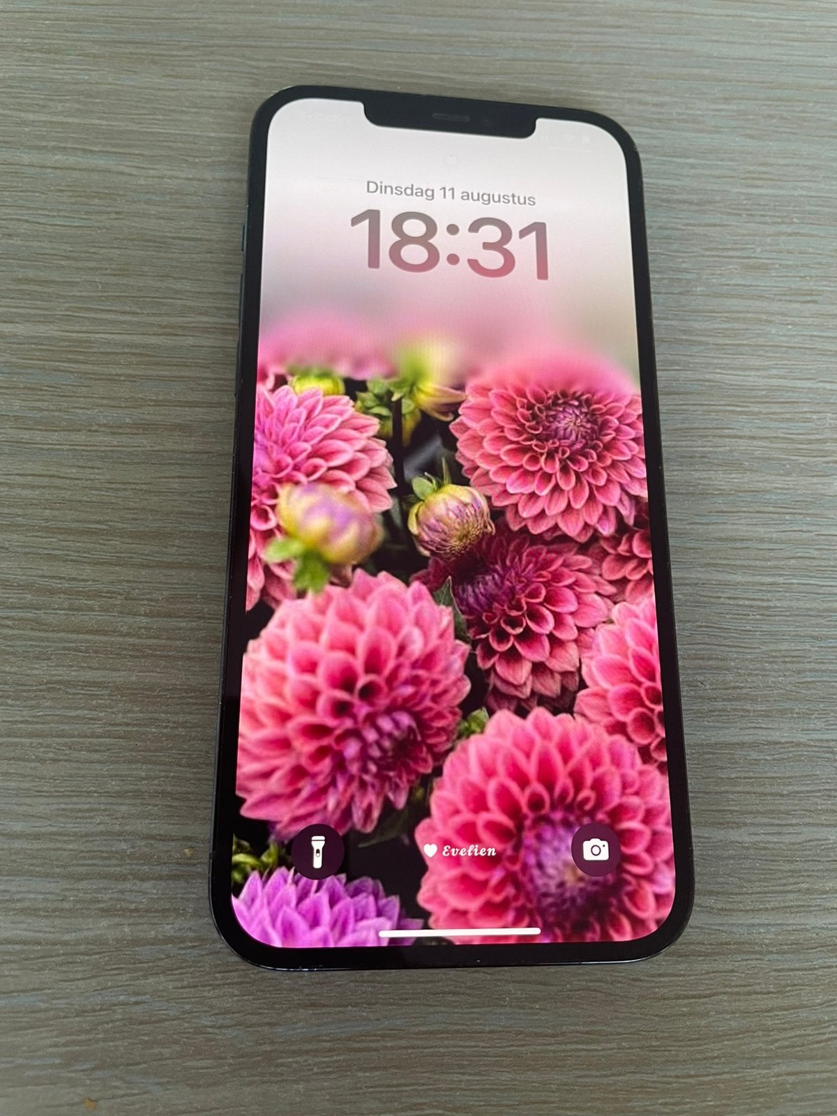 Iphone 12 Pro Max 128GB, Télécoms, Téléphonie mobile | Apple iPhone, 128 GB, IPhone 12 Pro Max, Enlèvement, Utilisé