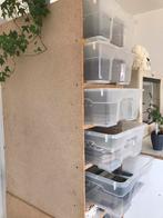 Stelling 5 bakken 60x40, Animaux & Accessoires, Reptiles & Amphibiens | Accessoires, Enlèvement, Utilisé, Autres types