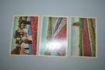 Pays-Bas Cartes postales Champs tulipes, Collections, Cartes postales | Pays-Bas, Envoi