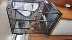 Papegaai kooi. Moet weg. Tel nummer 0499168197, Dieren en Toebehoren, Vogels | Hokken en Kooien, Ophalen