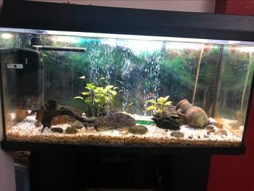 Aquarium compleet met meubilair beschikbaar voor biedingen