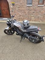 Benelli leoncino 125, Motoren, Motoren | Benelli, Particulier, 125 cc, 11 kW of minder, 1 cilinder