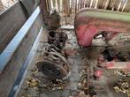 porsche diesel onderdelen, Gebruikt, Meer dan 10000, Tot 80 Pk, Ophalen