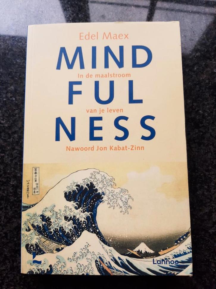 Edel Maex - Mindfulness, Livres, Ésotérisme & Spiritualité, Comme neuf, Enlèvement ou Envoi