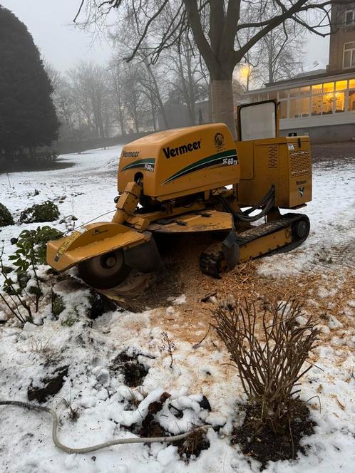 Uitfrezen van stronken, Diensten en Vakmensen, Tuinmannen en Stratenmakers, Tuinonderhoud of Snoeiwerk