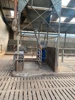 Voederstation met silo, Dieren en Toebehoren