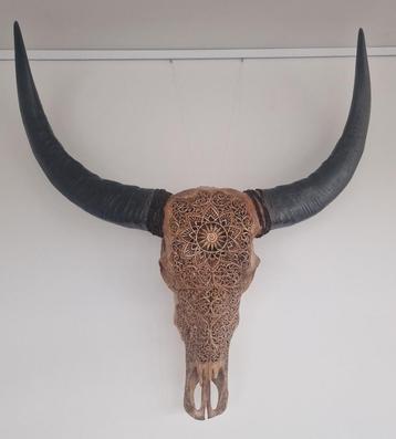 Waterbuffel buffel schedel Skull gegraveerd 90x90 cm, Enlèvement