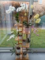 Étagère pour plantes en bambou comme neuve, Jardin & Terrasse, Enlèvement