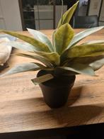 Decoratieve plant - nieuw, Ophalen of Verzenden, Zo goed als nieuw