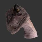 Allo Saurus Head – Dinosaurus beeld Lengte 59 cm, Ophalen, Nieuw