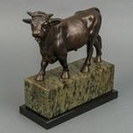 VLAAMSE STIER, Ophalen