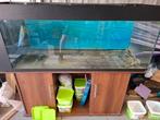Aquarium Juwel rio, Dieren en Toebehoren, Vissen | Aquaria en Toebehoren, Ophalen, Gebruikt, Leeg aquarium