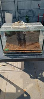 Terrarium, Ophalen, Zo goed als nieuw