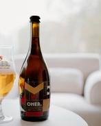 lege magnum bierfles, Ophalen, Gebruikt, Flesje(s), Overige merken