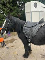 Tinker, Dieren en Toebehoren, Ophalen of Verzenden, Zo goed als nieuw