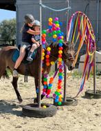 Geweldige Dpony merrie!, Dieren en Toebehoren, Pony's, Merrie, Gechipt, Springpony, 11 jaar of ouder