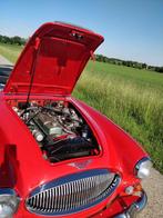 Austin Healey BJ8 '67, Achat, Radio, Entreprise