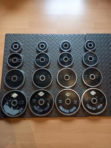 Halters  beschikbaar voor biedingen