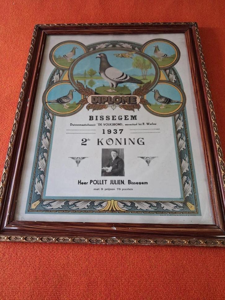 heel grote kader duivensport  jaar 1937, Verzamelen, Merken en Reclamevoorwerpen, Gebruikt, Reclamebord, Ophalen